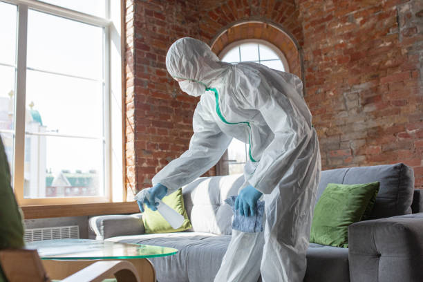 Best Mold Remediation for Vacation Homes  in USA